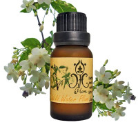 Wild Water Plum essential oil (H-Hom) - 15ml. Wild Water Plum essential oil (H-Hom) - 15ml.