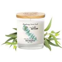 Eucalyptus Aromatherapy Soy Wax Candle (H-hom) - 250g. Eucalyptus Aromatherapy Soy Wax Candle (H-hom) - 250g.