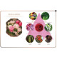Gift Set Luxury Body Mist (Maya) -10 ml.*3pcs Gift Set Luxury Body Mist (Maya) -10 ml.*3pcs