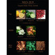 Gift Set Luxury Body Mist (Maya) - 3*10 ml. Gift Set Luxury Body Mist (Maya) - 3*10 ml.