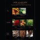 Rose & Agarwood Aroma Oil (Maya) - 30ml.