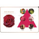Rose Romance Aroma Oil (Maya) - 30ml. Rose Romance Aroma Oil (Maya) - 30ml.