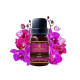Orchid Essential Oil (Makhamthai) - 10ml. Orchid Essential Oil (Makhamthai) - 10ml.