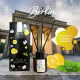 Berlin in the winter Aromatherapy Reed Diffuser (Siam Aroma) - 50 ml. Berlin in the winter Aromatherapy Reed Diffuser (Siam Aroma) - 50 ml.