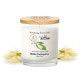White Champaca Aromatherapy Soy Wax Candle (H-hom) - 250g.