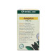 Tea Jiaogulan grass of longevity (HERBAL ONE) - 20 bags.